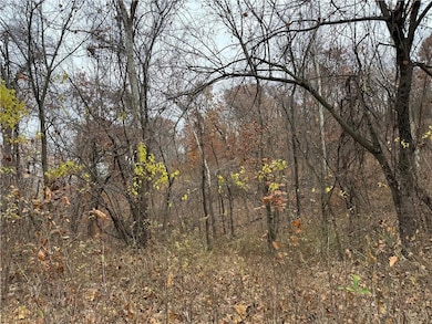 0 Dover Bluff, Waverly, MO 64096 - photo 3