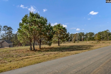 0 Adventure Bay unit 622668, Prosperity, SC 29127 - photo 3