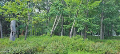 101 Surrey Ln, Lords Valley, PA 18428 - photo 2