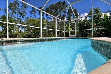 720 Pinecastle Dr, Lehigh Acres, FL 33974 - photo 5