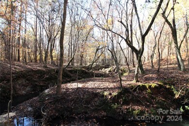 40+/- AC LOT 6 Hartness Rd, Clover, SC 29710 - photo 3