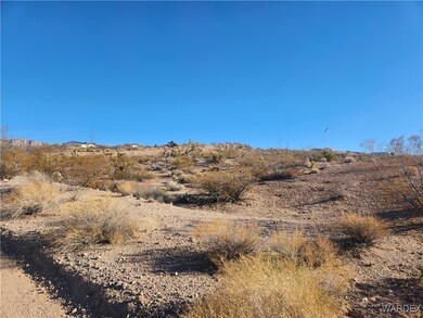 View of the lot looking from N. Meriwitica Drive t