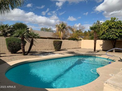 Sparkling Pool