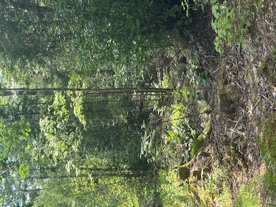 14-6 Hemlock Dr, Hudson, ME 04449 - photo 5