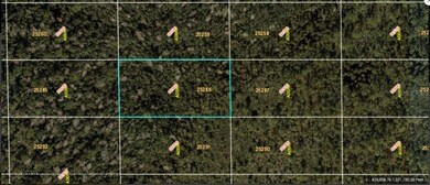 0 Dill Rd unit MFRO6234191, Orlando, FL 32820 - photo 2