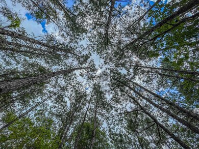 0 Tbd Highway 87 unit LotWP001, Bleakwood, TX 75956 - photo 6