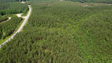 1 Rockhouse Rd, Flatwoods, TN 37096 - photo 3