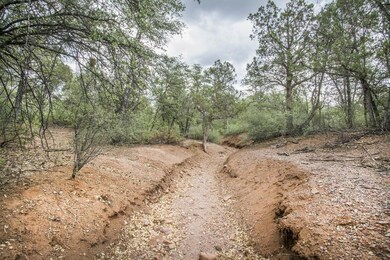 1901 N Conifer Cir, Payson, AZ 85541 - photo 5