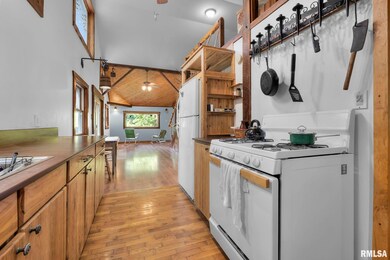 20601 Maggie Ln, Tamms, IL 62988 - photo 7