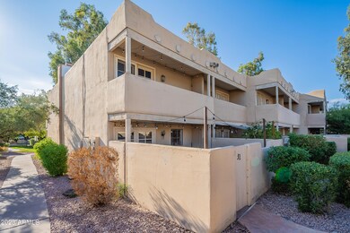 Desert Cove - HD-42