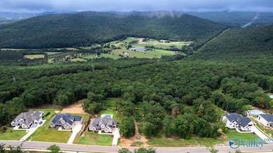 49 Watson Grande Way SE, Owens Cross Roads, AL 35763 - photo 4