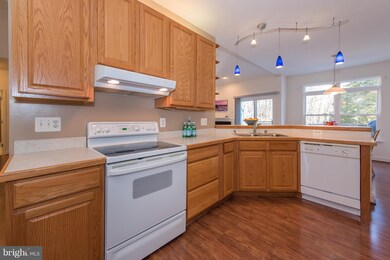 11 Spring Heath Ct, Windsor Mill, MD 21244 - photo 4