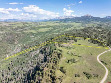 1151 Dr, Placerville, CO 81430 - photo 7