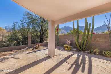 Back Patio View