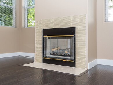 Fireplace Gas
