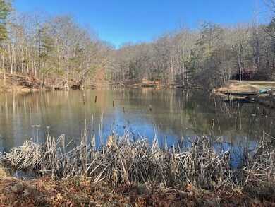 Stump Run Pond-4