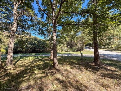 0 Country Rd, Rumley Township, OH 43986 - photo 2