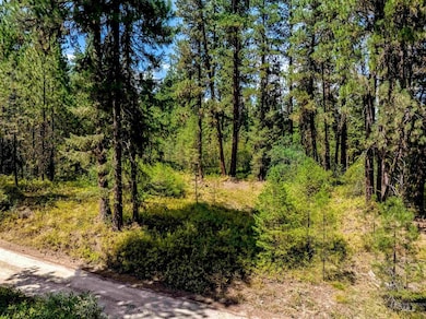 View of tree filled area