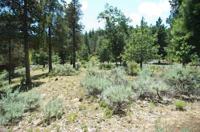 Lot02