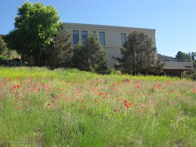 Poppies in the front