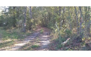 2967 NW Lake Jeffery Rd, Lake City, FL 32055 - photo 3