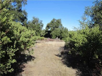 Large oak trees