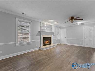 1007 Rocky Hollow Rd, Blountsville, AL 35031 - photo 7