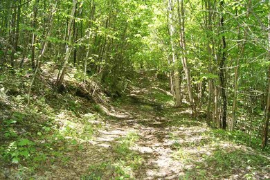 0 Canaan Hill Rd unit 4759378, Canaan, VT 05903 - photo 3