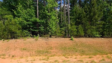 Wooded Lot
