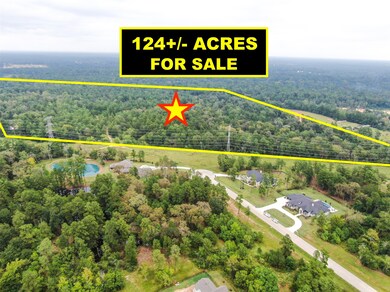 TBD Wild Pecan Dr, Tomball, TX 77375 - photo 3