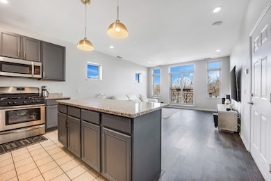 947 W 14th Place unit 3A, Chicago, IL 60608 - photo 3