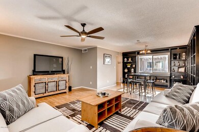 5903 E Thomas Rd Scottsdale AZ-large-005