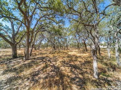 680 Annabelle Ave, Bulverde, TX 78163 - photo 5