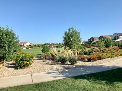 Neighborhood park
