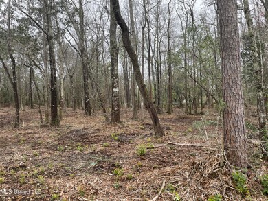 0 Christy Cove unit 4011670, Moss Point, MS 39562 - photo 2