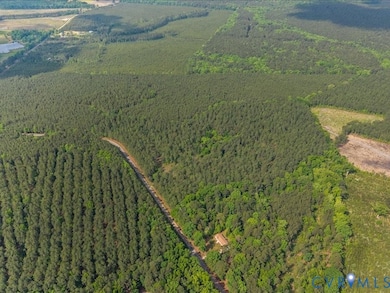 1920 Mill Quarter Rd, Ford, VA 23850 - photo 7