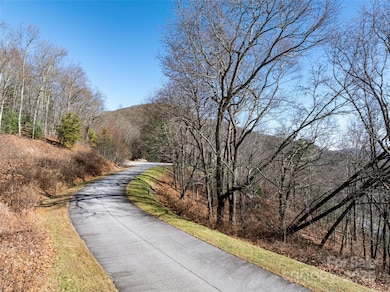 416 Summerset Dr unit 83, Hendersonville, NC 28792 - photo 4