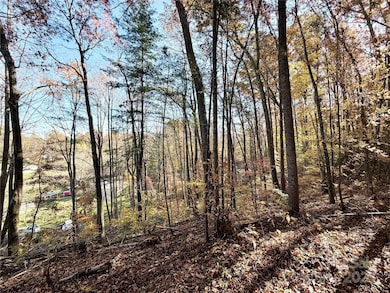 99999 Dix Creek No 1 Rd, Leicester, NC 28748 - photo 5