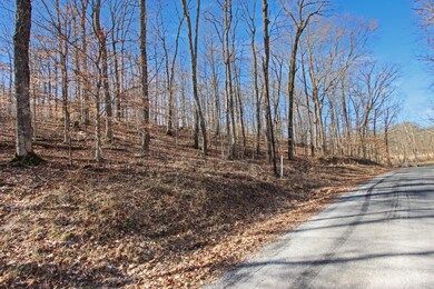 2 Tn-147, Stewart, TN 37175 - photo 4