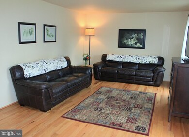 226 Racey Ln, Strasburg, VA 22657 - photo 4