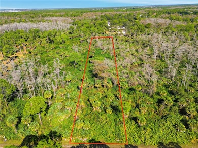 XXX 18th Ave NE, Rural Estates, FL 34120 - photo 5