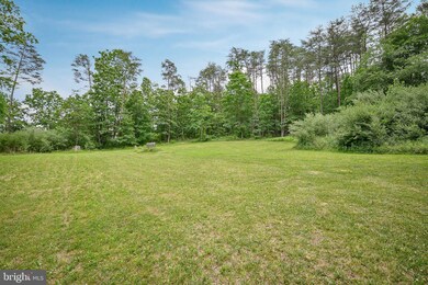 314 Bass Ln, Winchester, VA 22603 - photo 7