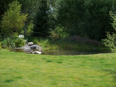 pond
