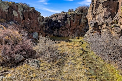 00 Tbd, Greer, AZ 85927 - photo 3