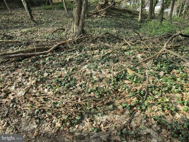 5390 Wingohocking Heights, Philadelphia, PA 19144 - photo 7