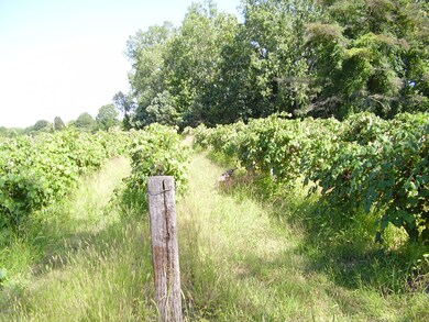 13320 Red Arrow Hwy, Chikaming Township, MI - photo 6