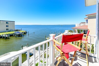 311 S Heron Gull Ct, Ocean City, MD 21842 - photo 6