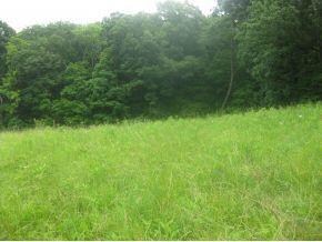 0 Stacy Rd unit 265076, Metamora, IN 47030 - photo 3