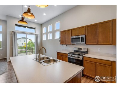 3997 Forest Lake Ct, Loveland, CO 80538 - photo 5