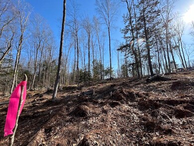 Lot 46-2 Dooe Rd unit 46-2, Dublin, NH 03444 - photo 4